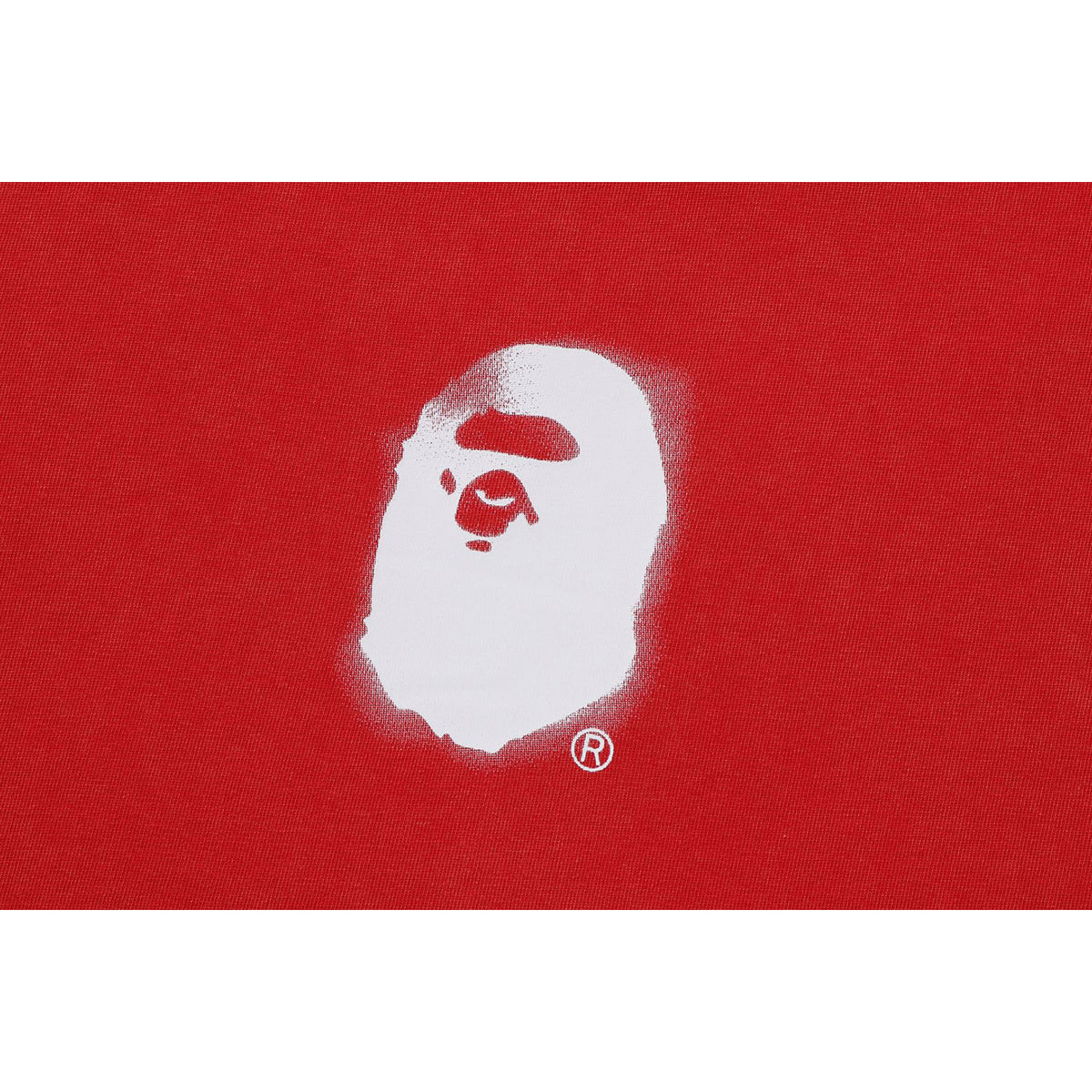 PIGMENT PRINT APE HEAD RELAXED FIT TEE MENS