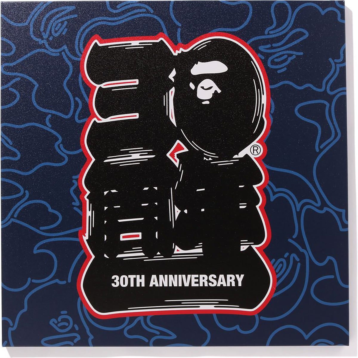 BAPE® 30TH ANNIV. CANVAS LARGE