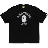 PIXAL COLLEGE RELAXED FIT TEE MENS