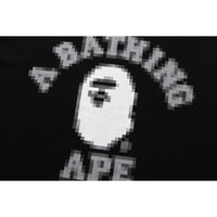 PIXAL COLLEGE RELAXED FIT TEE MENS