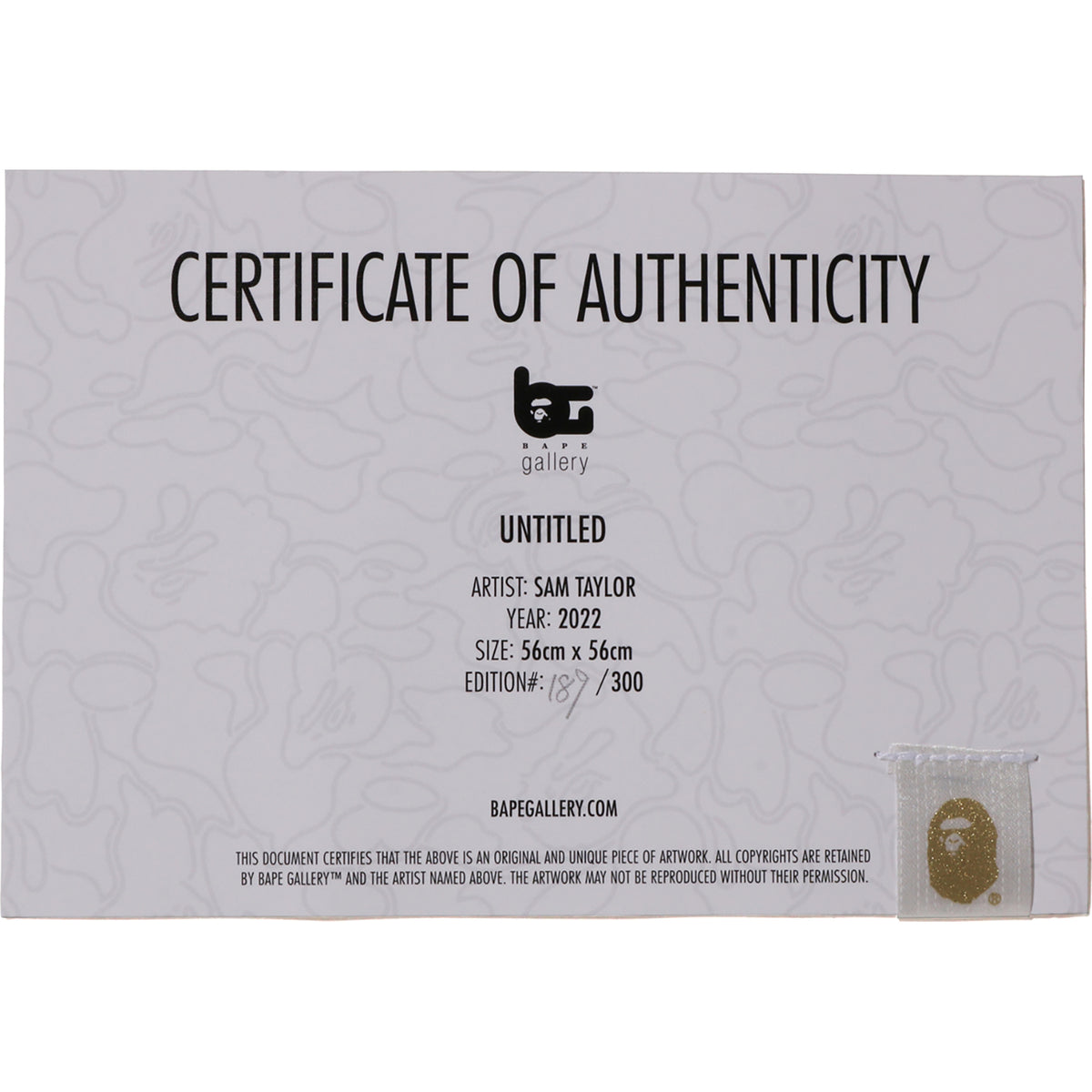 UNTITLED by SAM TAYLOR