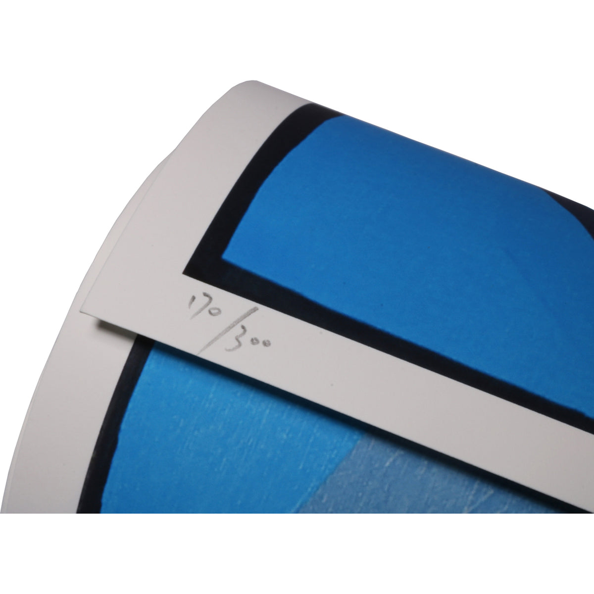 COLOR MULTIVERSE by OSO DE AGUA