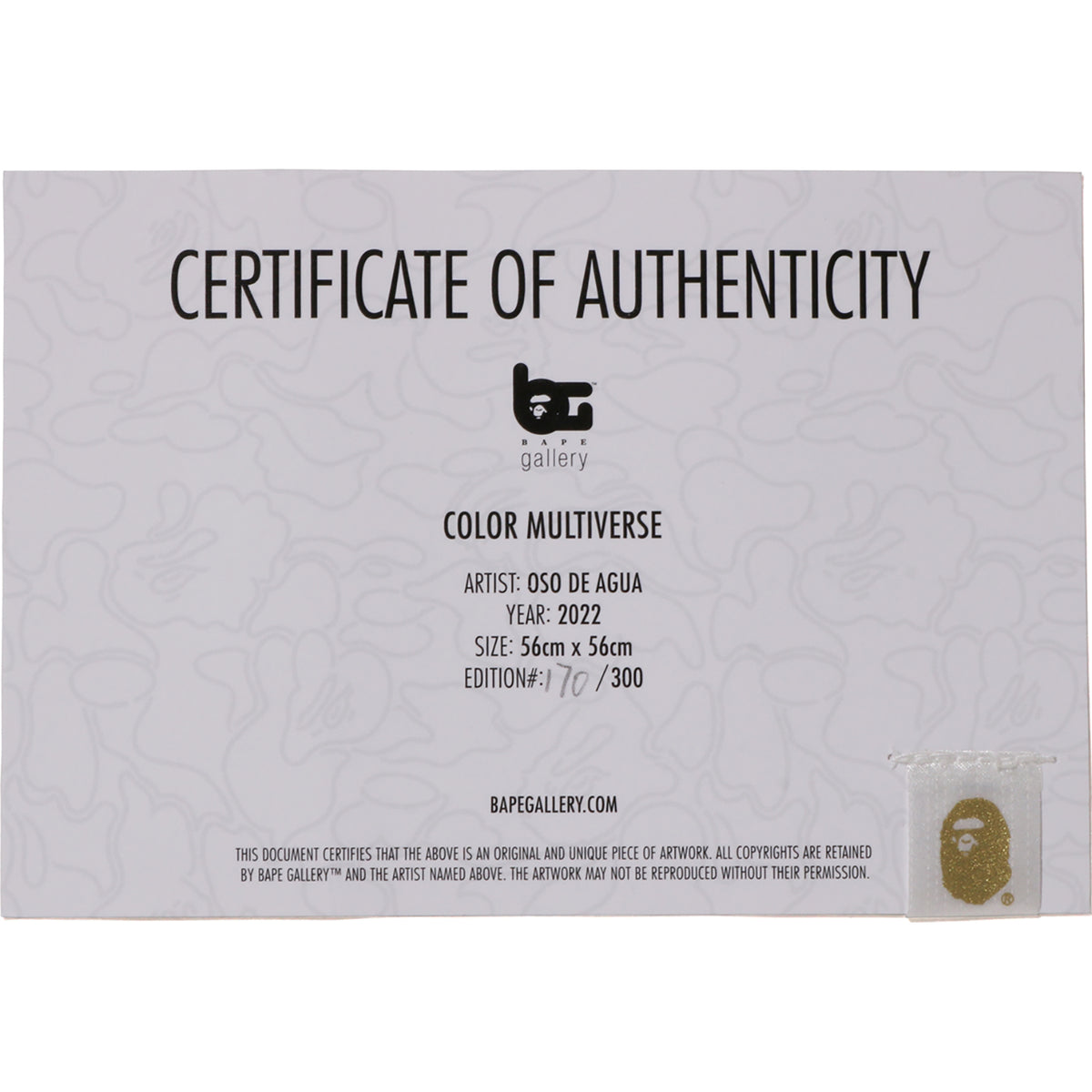 COLOR MULTIVERSE by OSO DE AGUA