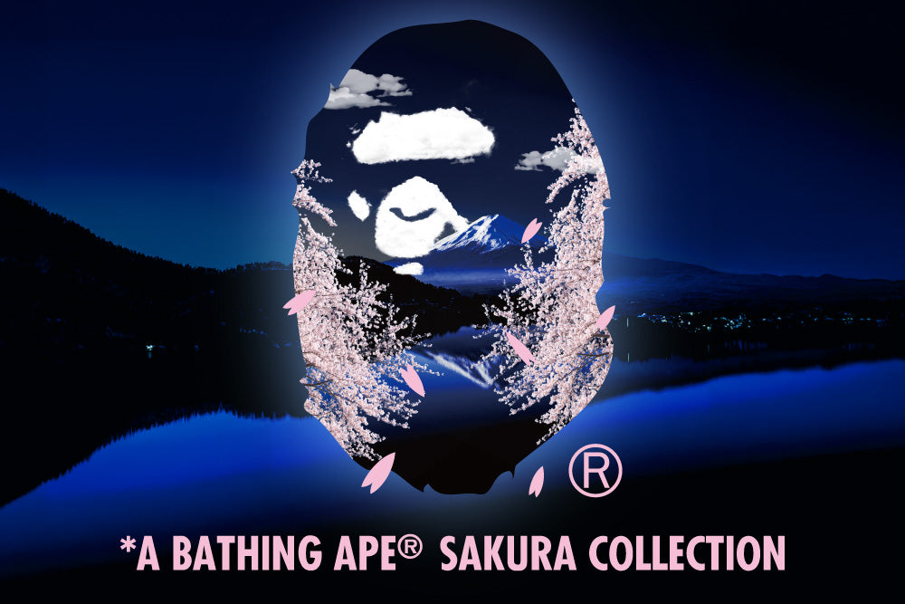 SAKURA COLLECTION