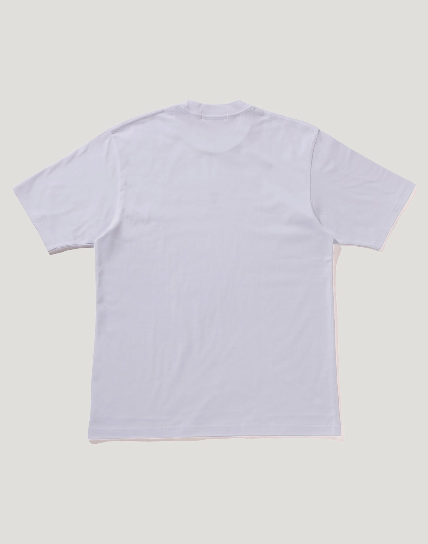 APE FACE SHRUNK TEE MENS