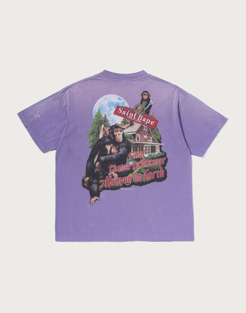 BAPE X SAINT MXXXXXX TEE MENS