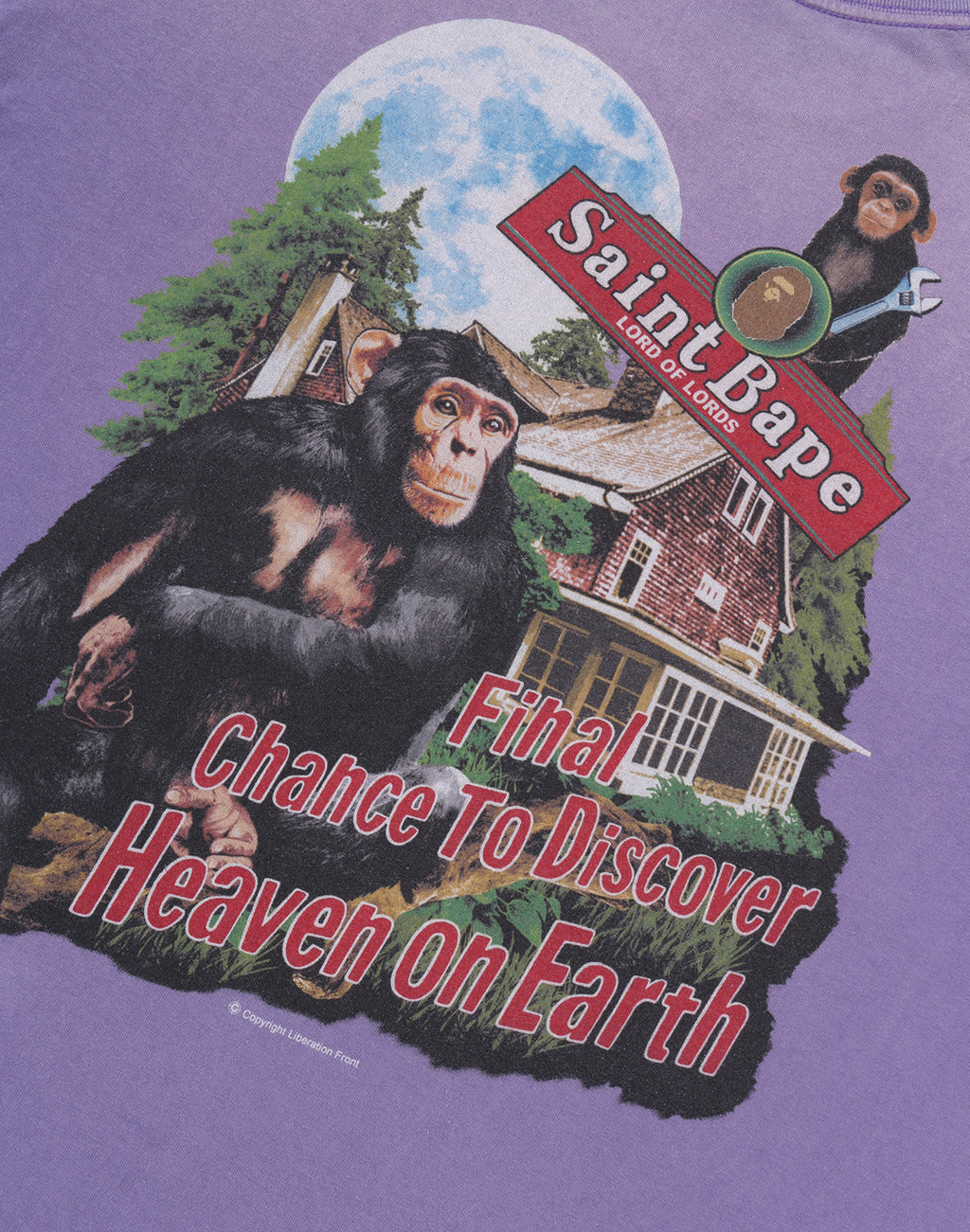 BAPE X SAINT MXXXXXX TEE MENS