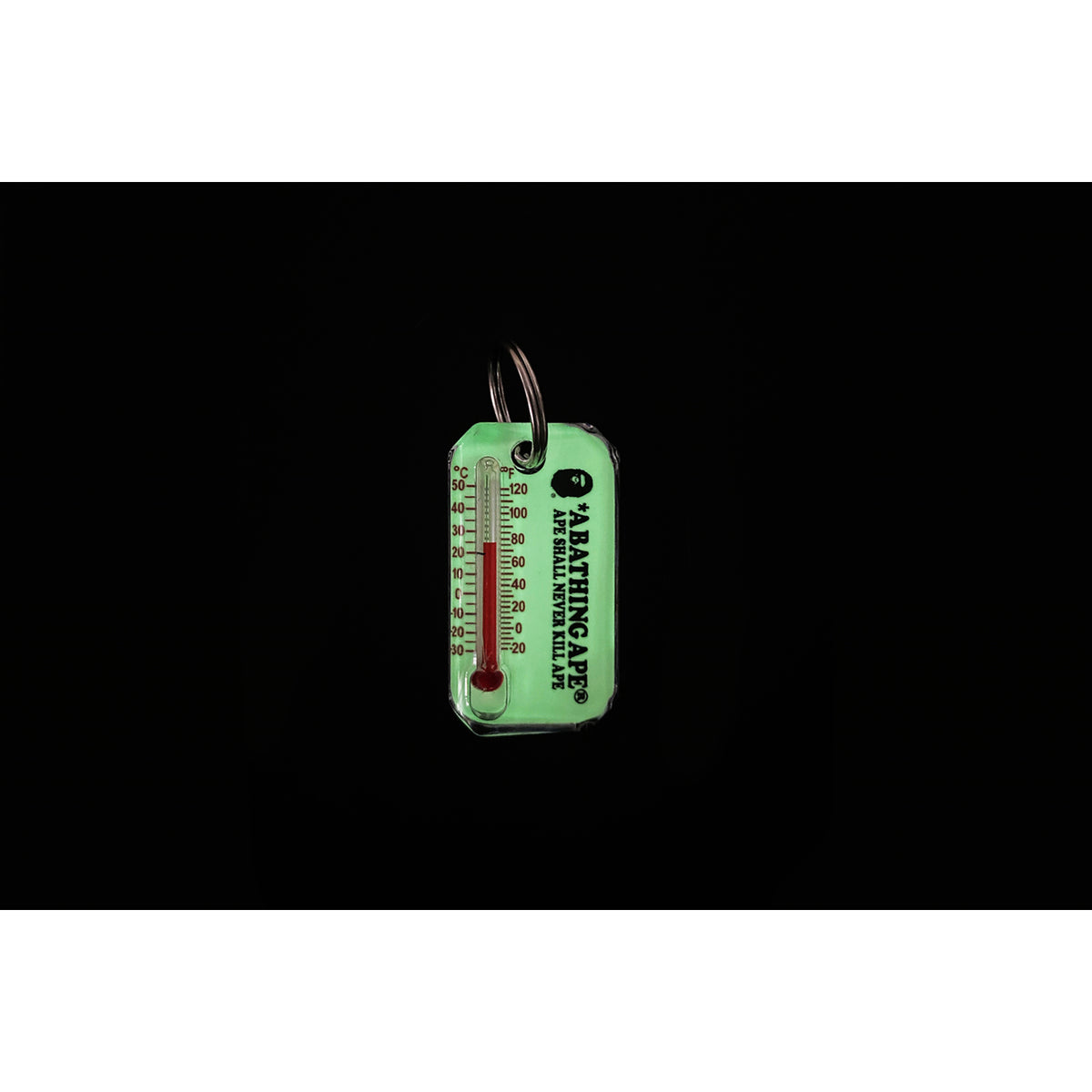 BAPE GLOW IN THE DARK LUMAZIP