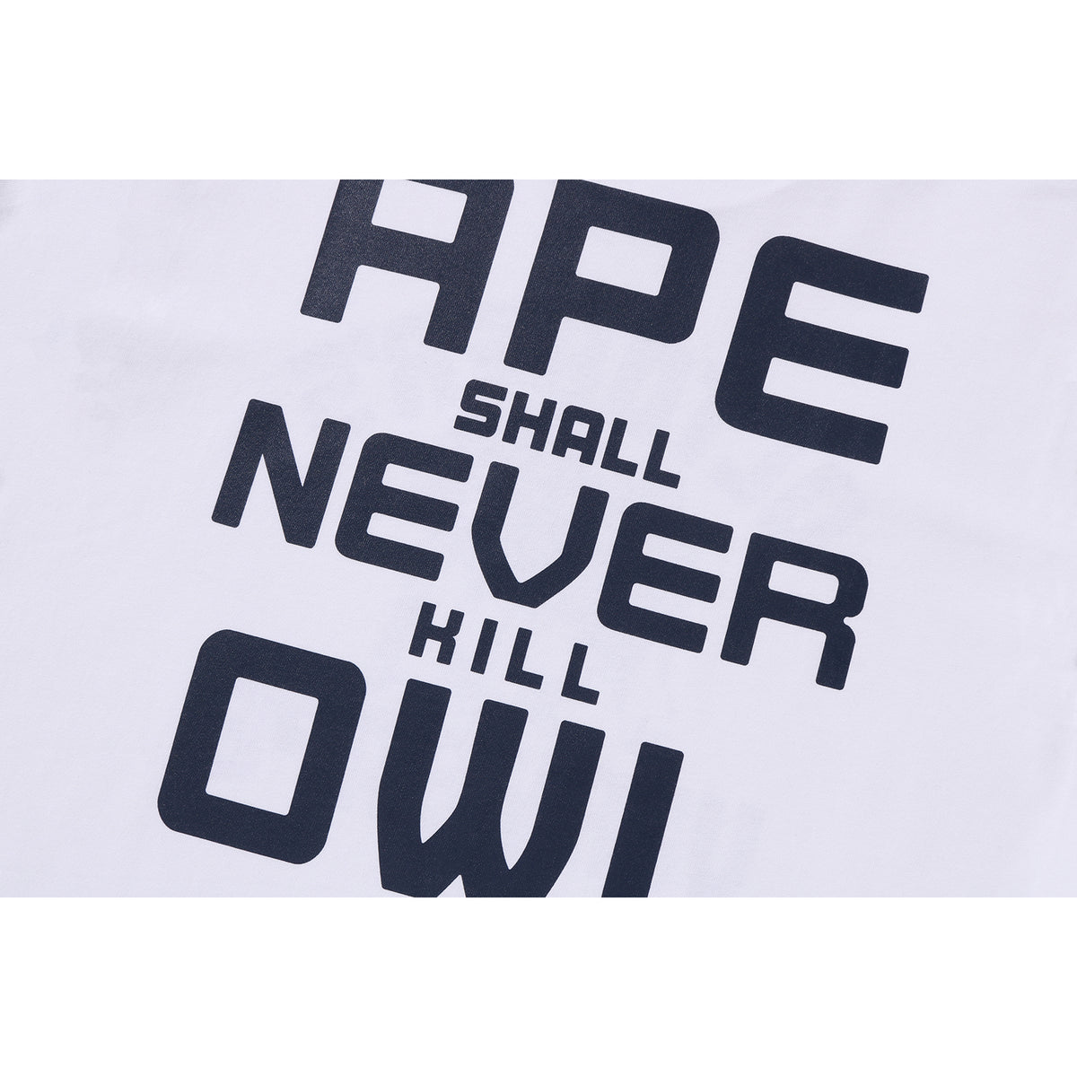 BAPE X OVO COLLEGE LONG SLEEVE TEE MENS