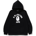 COLLEGE PULLOVER HOODIE MENS