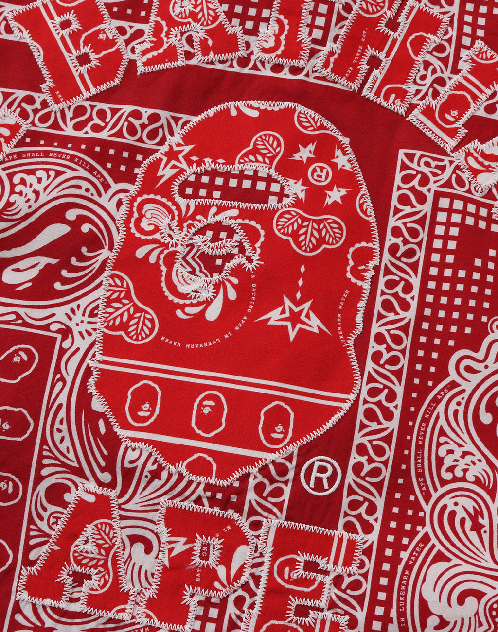 PAISLEY PATTERN LS SHIRT MENS