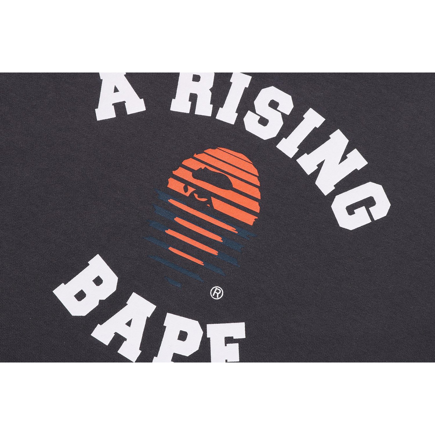A RISING BAPE Sweatshirt - Year of Snake Collection | A BATHING