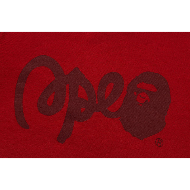 GRADATION BAPE CREWNECK SWEATSHIRT KIDS