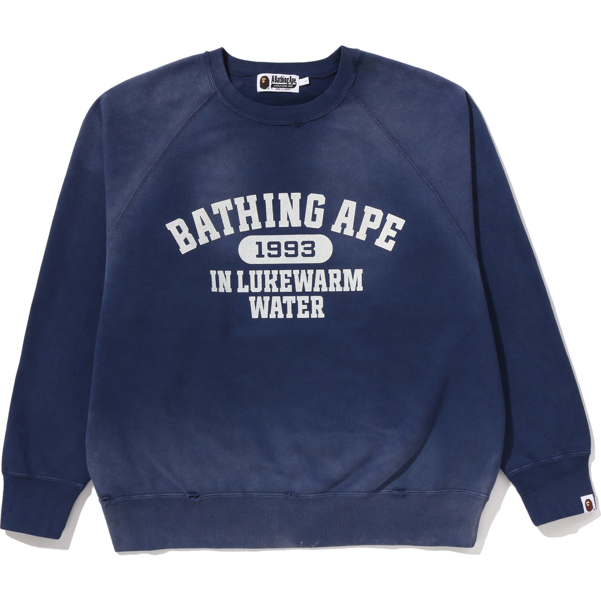 DESTROY WASHED EFFECT RELAXED FIT CREWNECK SWEATSHIRT MENS