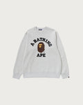COLLEGE CREWNECK SWEATSHIRT MENS