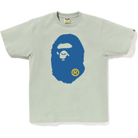 COLORS SHARK TEE MENS
