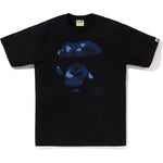 Black X Navy