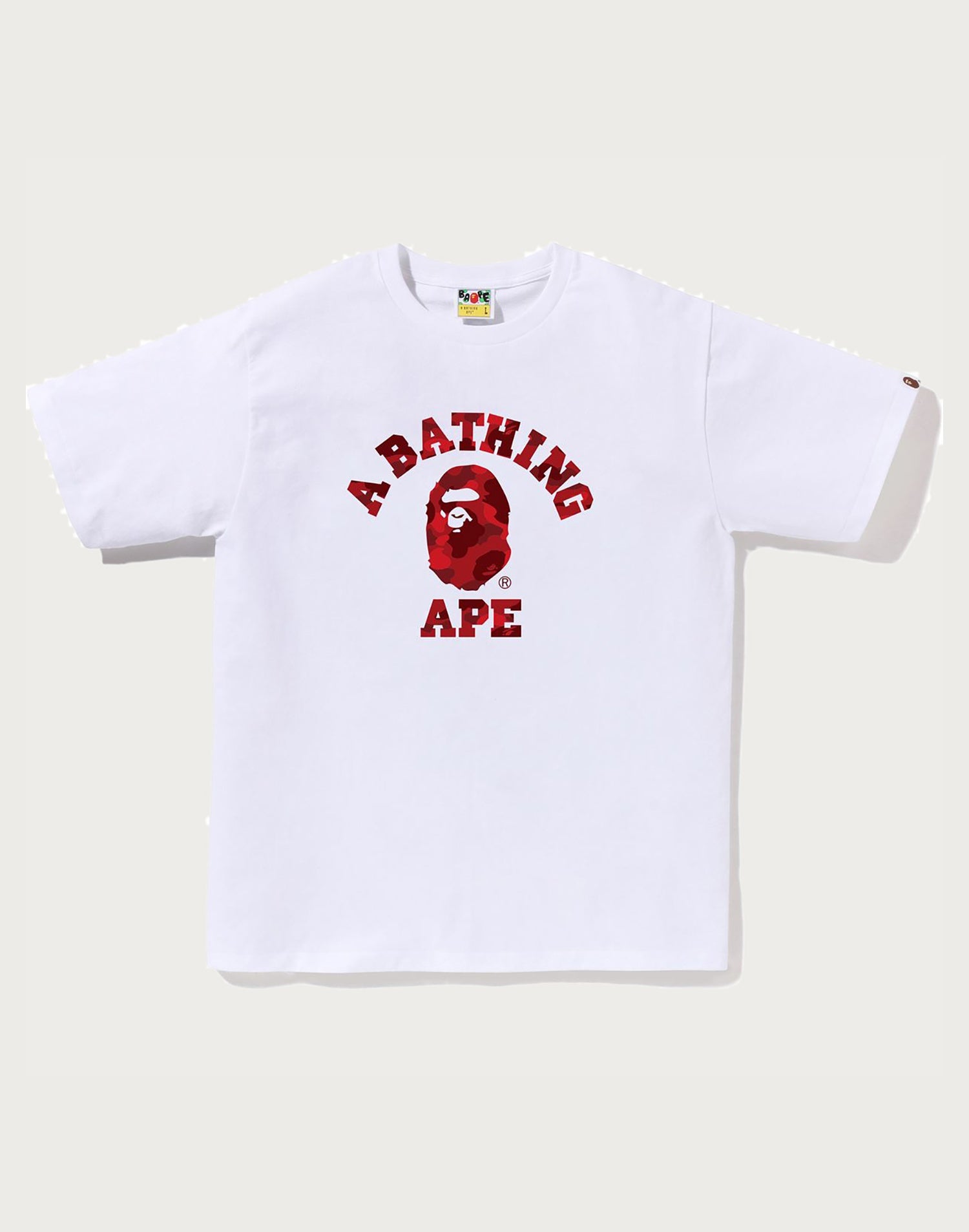 COLOR CAMO COLLEGE TEE MENS