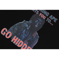 BAPE X HIDDEN GO HIDDEN TEE MENS