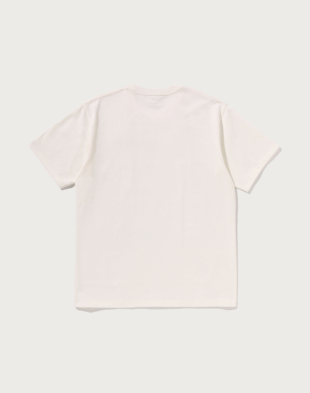 PAISLEY PATTERN BY BATHING APE TEE MENS