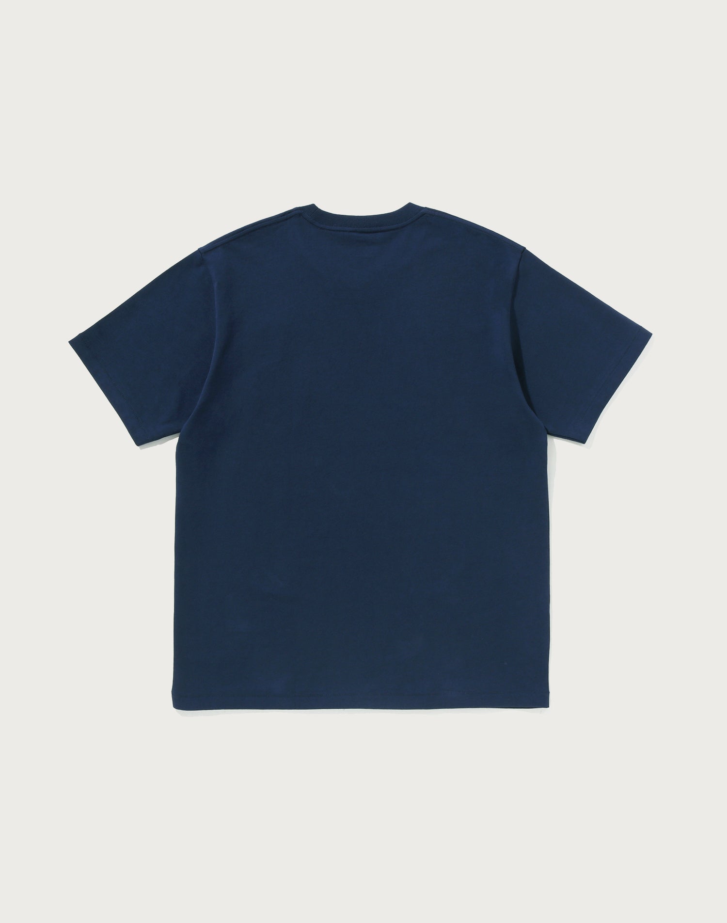 PAISLEY PATTERN BY BATHING APE TEE MENS