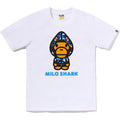 ABC CAMO MILO SHARK FZH TEE LADIES