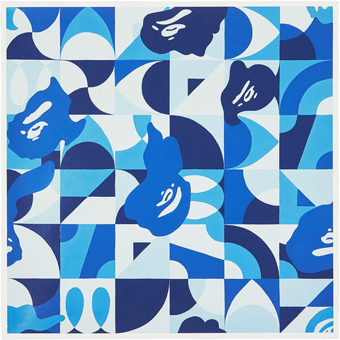 BAPE® X ILIZARBE ABC CAMO BLUE by ALVARO ILIZARBE